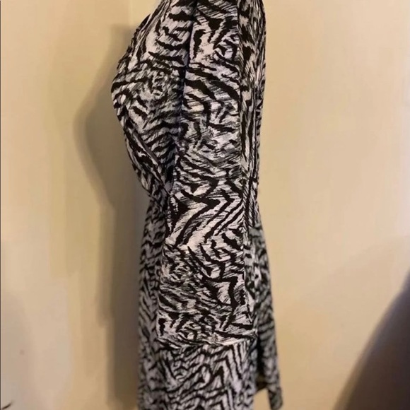 Zebra print XL knee lenght Dress - Picture 3 of 4